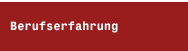 Berufserfahrung