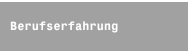 Berufserfahrung